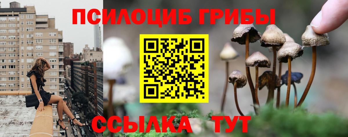 Псилоцибиновые грибы мухоморы Юрга