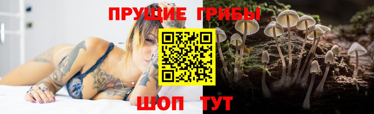 цены   Галлюциногенные грибы Psilocybine cubensis  Вход с VPN  Юрга 